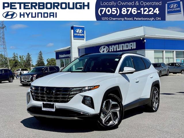 Hyundai Tucson Luxury (Leather, Heat/Vent Seat, Pano Sunroof)